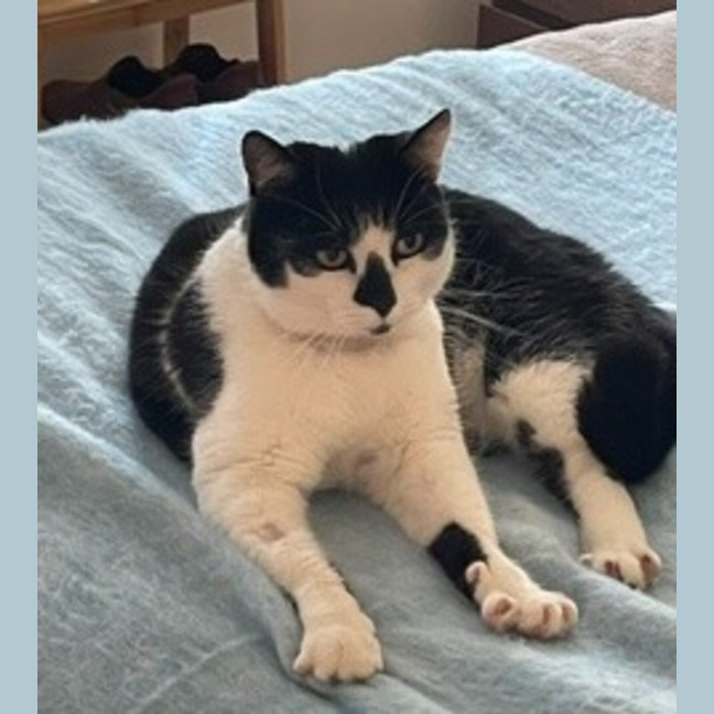 Photo of Snuggles