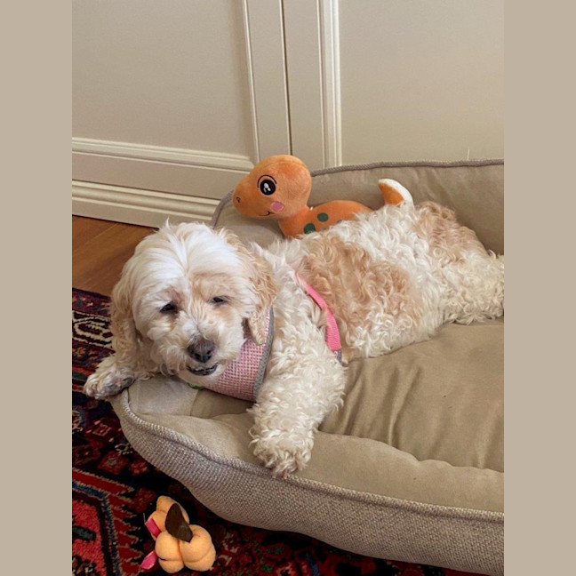 Photo of Bella Wensleydale