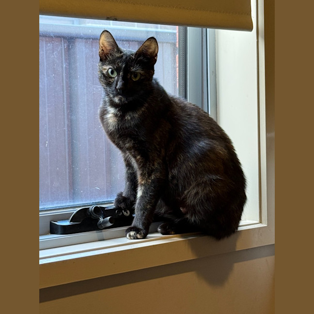 Photo of Madame Marissa Moo