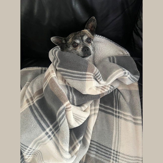 Photo of Pablo 