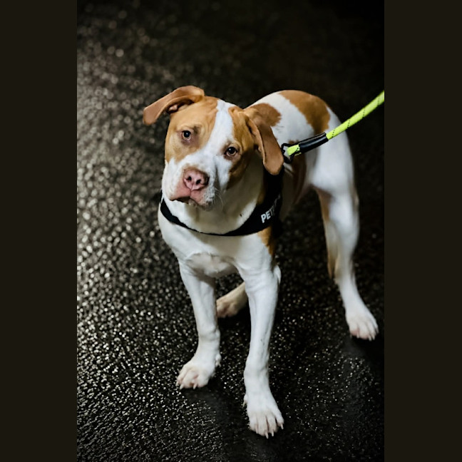 Photo of Ernie