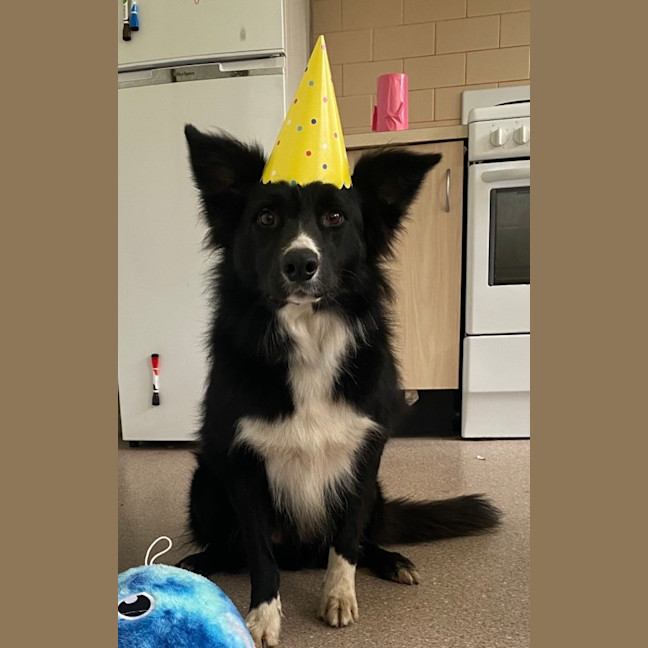 Photo of Bentley