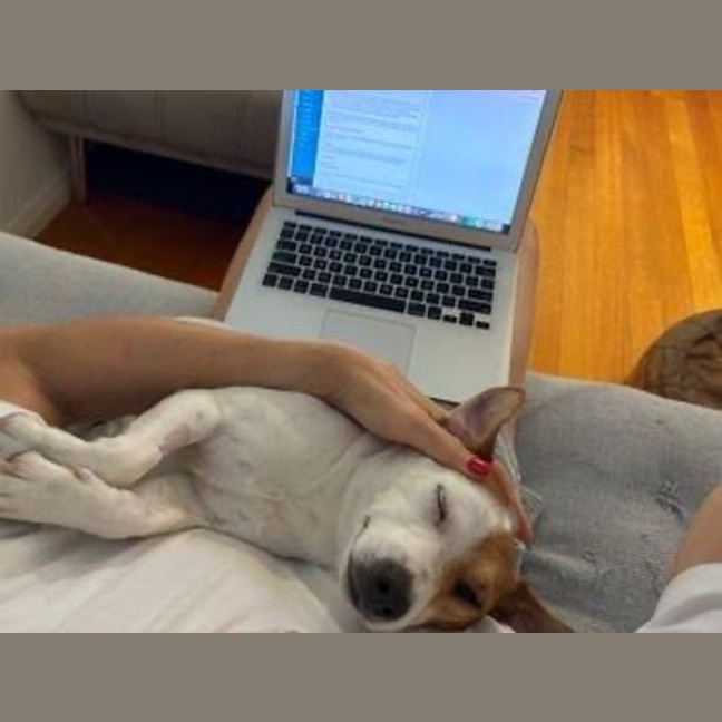 Photo of Jacky Chan Peggotty