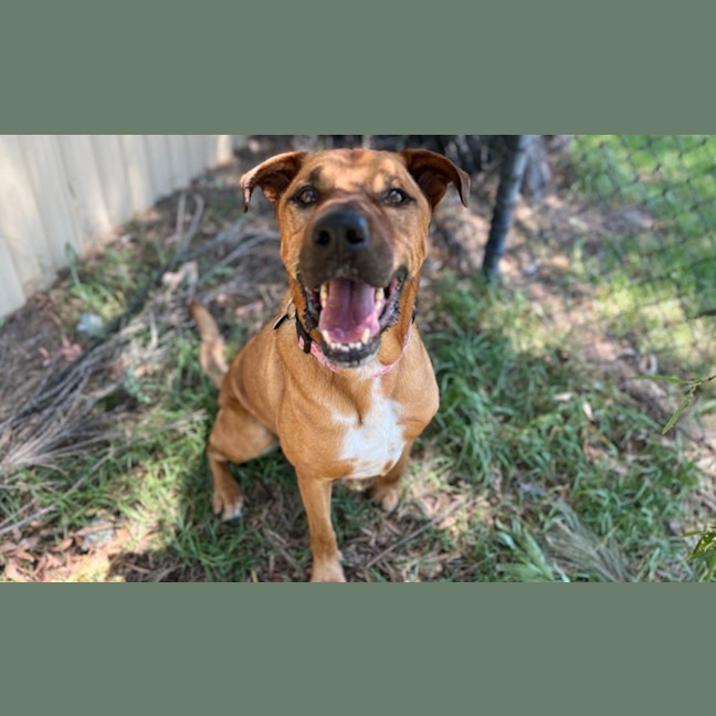 Photo of Motley
