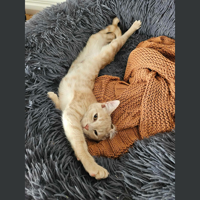 Photo of Ginny ❤️