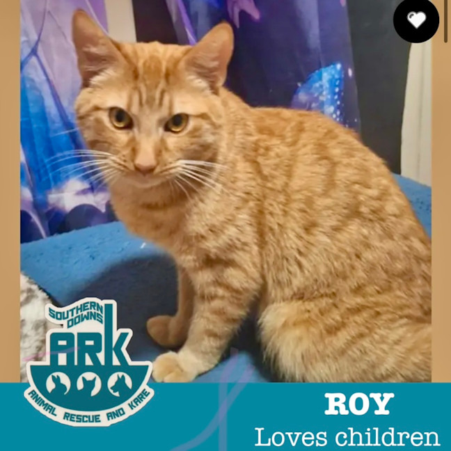 Photo of Roy
