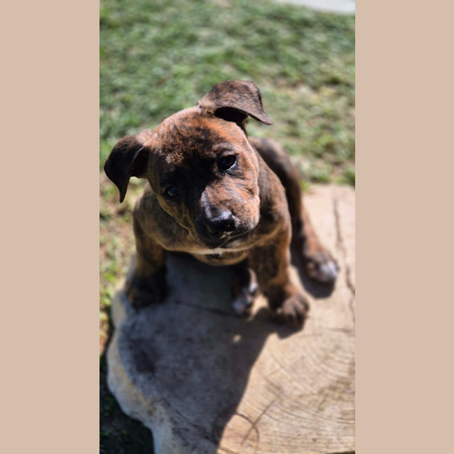 Photo of Spice