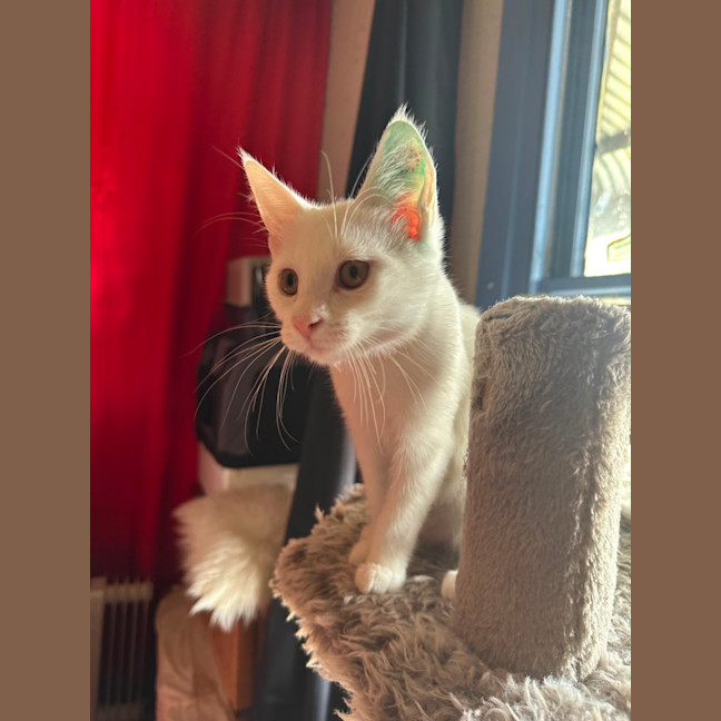 Photo of Smudge 