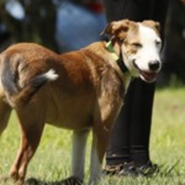 Photo of Turbo
