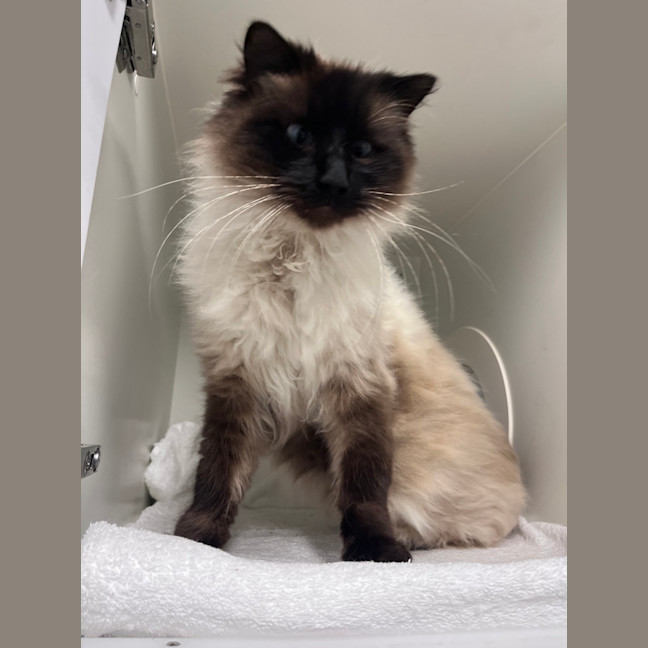 Photo of Bozzwick