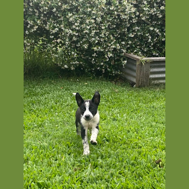 Photo of Stanley