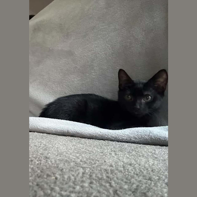 Photo of Hopper 