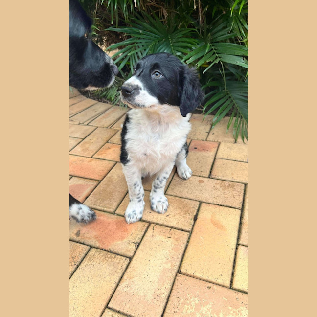 Photo of Lola