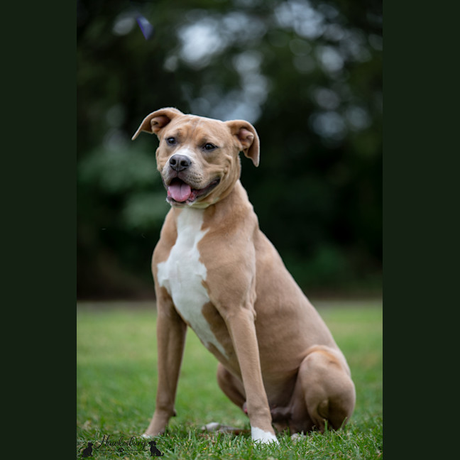 Photo of Scoob