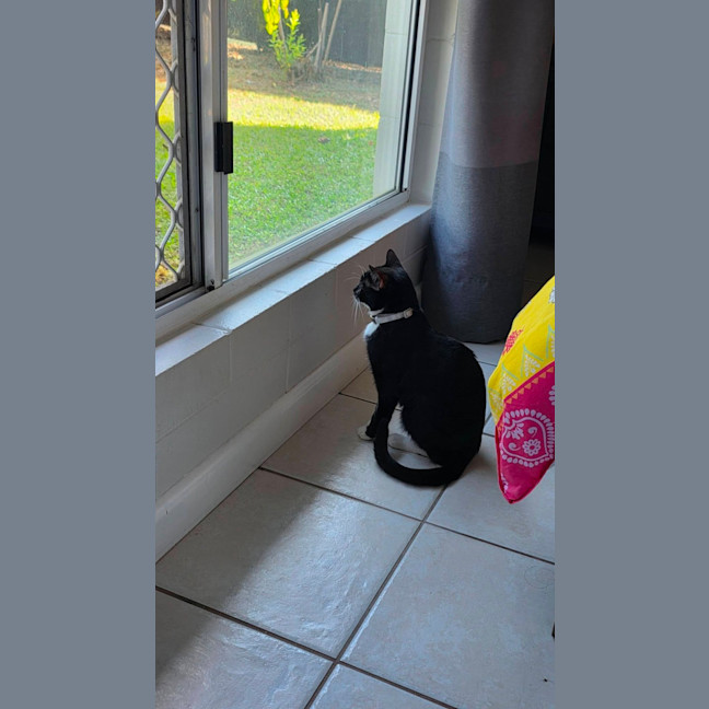 Photo of Tessa