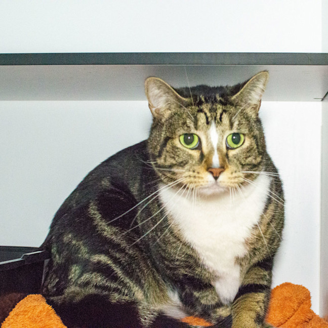 Photo of Cash