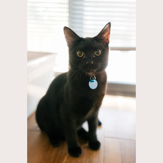 Photo of Percy