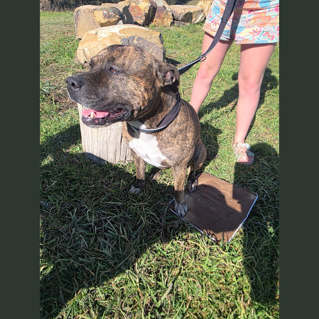 Photo of Zeus 💜