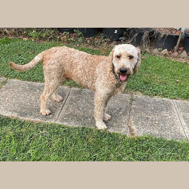 Photo of Murphy