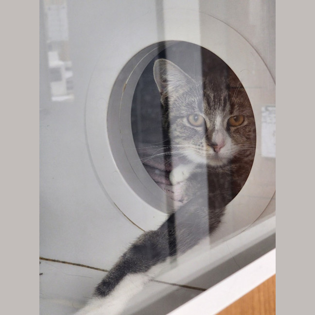 Photo of Feisty Frieda