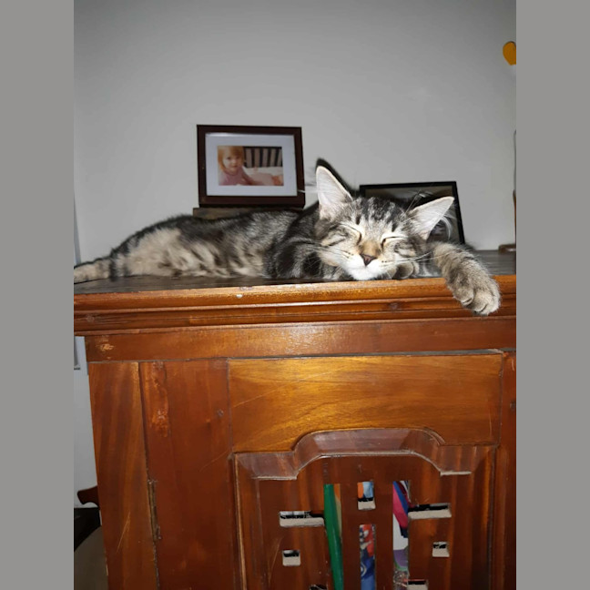 Photo of Spirit