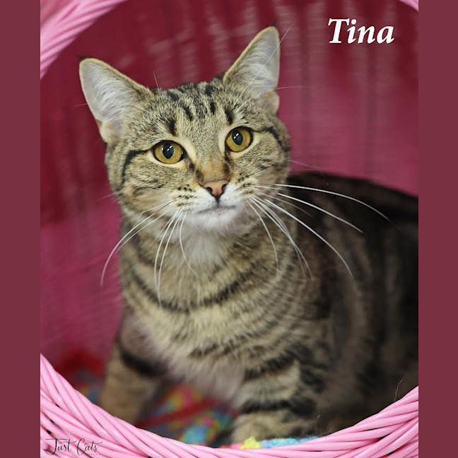 Photo of Tina