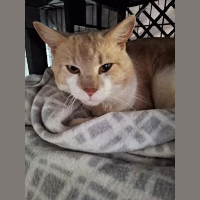 Photo of Ottis 💙