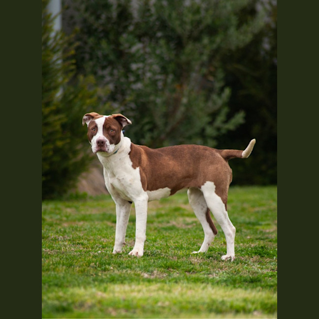 Photo of Bonnie