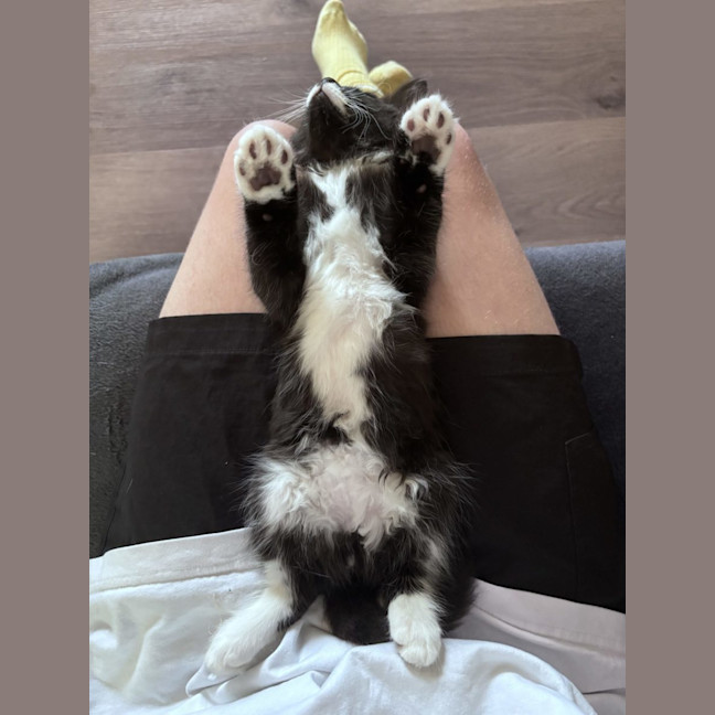 Photo of Harry  Reviewing Applications