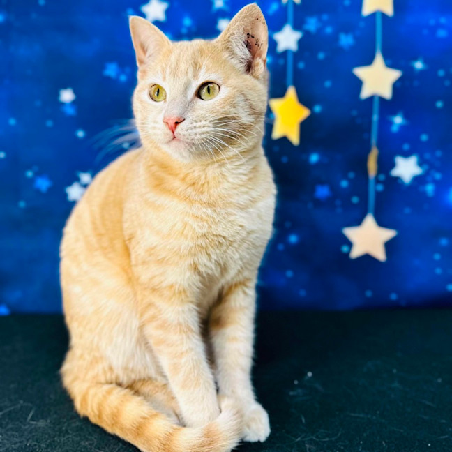 Photo of Russ (Located In Preston) 