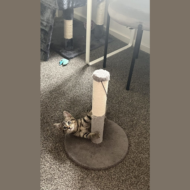 Photo of Odie N Dawn