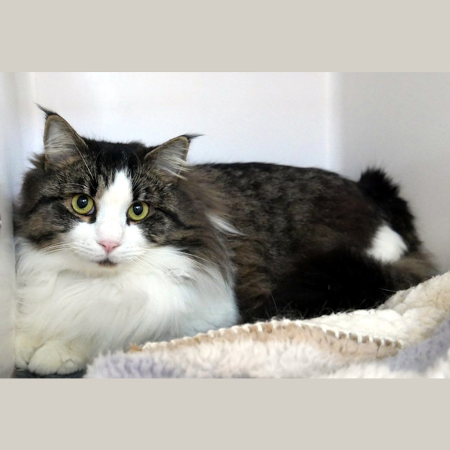 Photo of Winston Sta014108