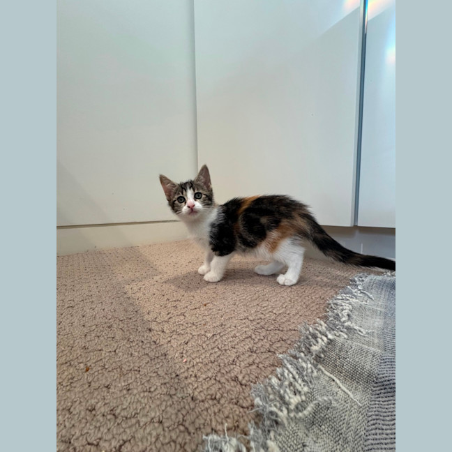 Photo of Clara