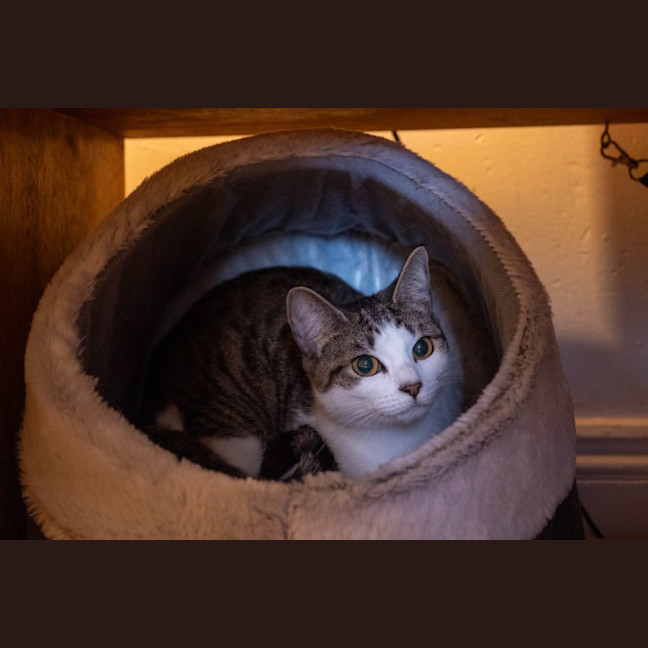 Photo of Penny & Essie 