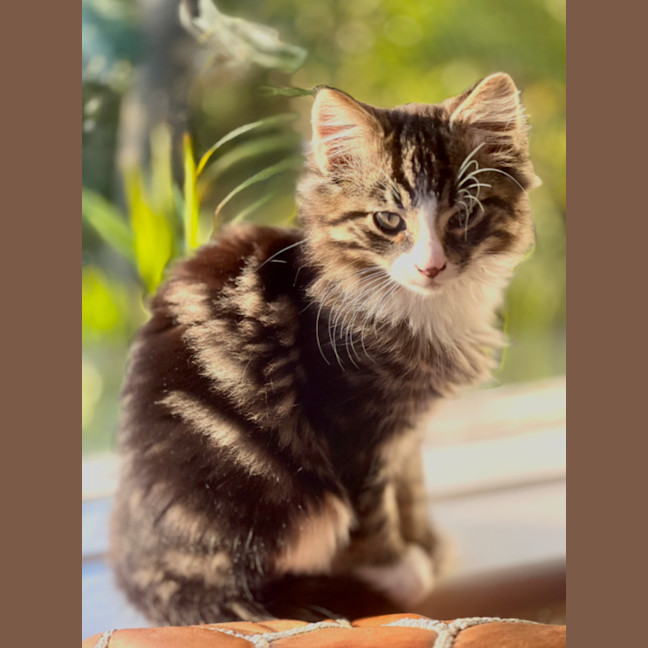 Photo of Jasper