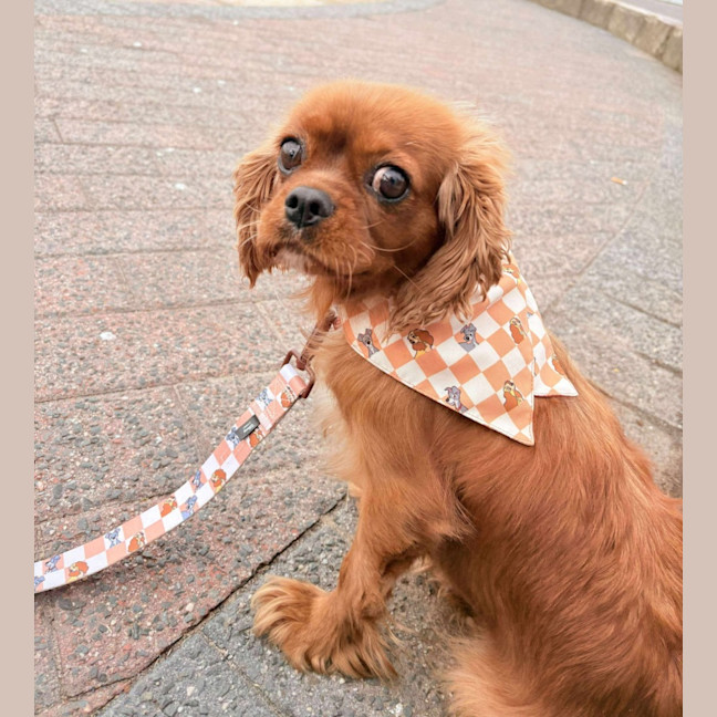 Photo of Buffy
