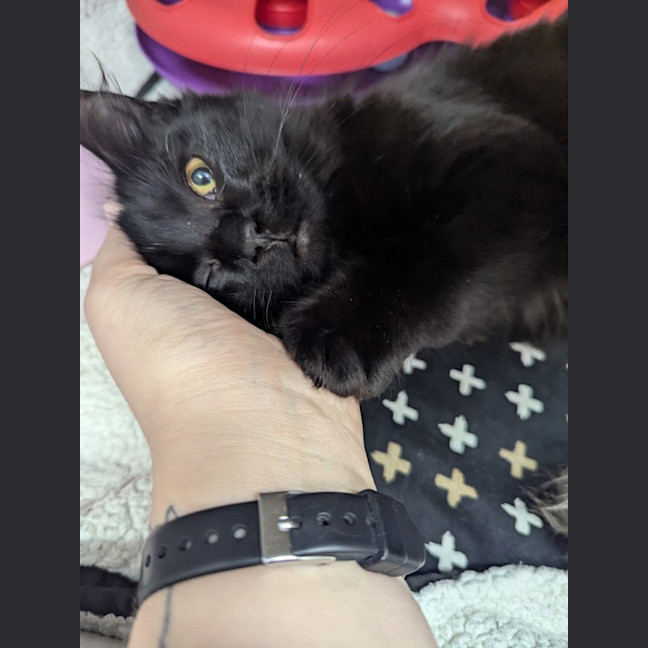 Photo of Liesl