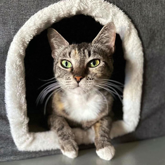 Photo of 11760   Pandora