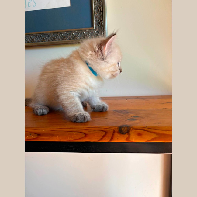 Photo of Bob