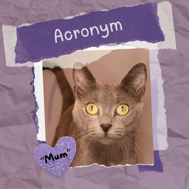 Photo of Acronym