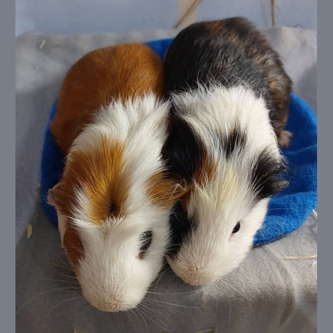 Photo of Caramel & Chocolate