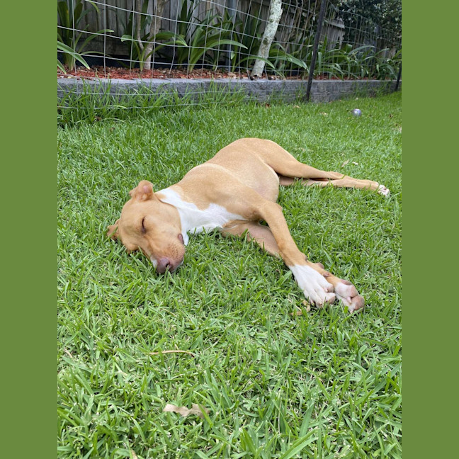 Photo of Matilda