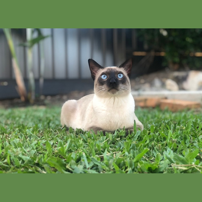 Photo of Ralph