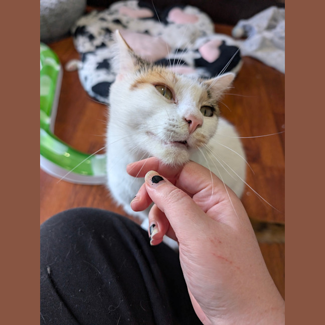 Photo of Freya 