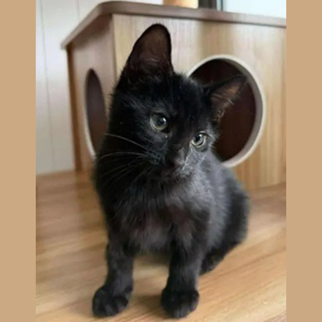 Photo of Laverne