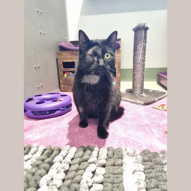 Photo of Dread Pirate Roberts