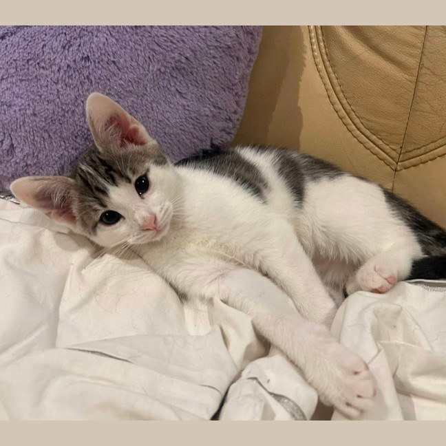 Photo of Jax