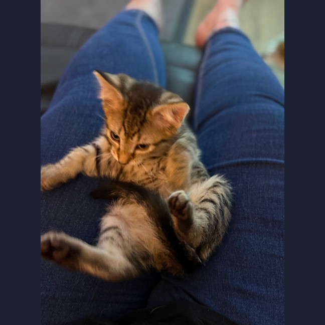 Photo of Rosie