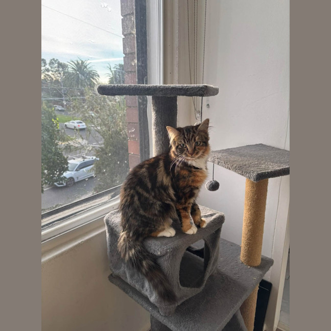 Photo of Pearl