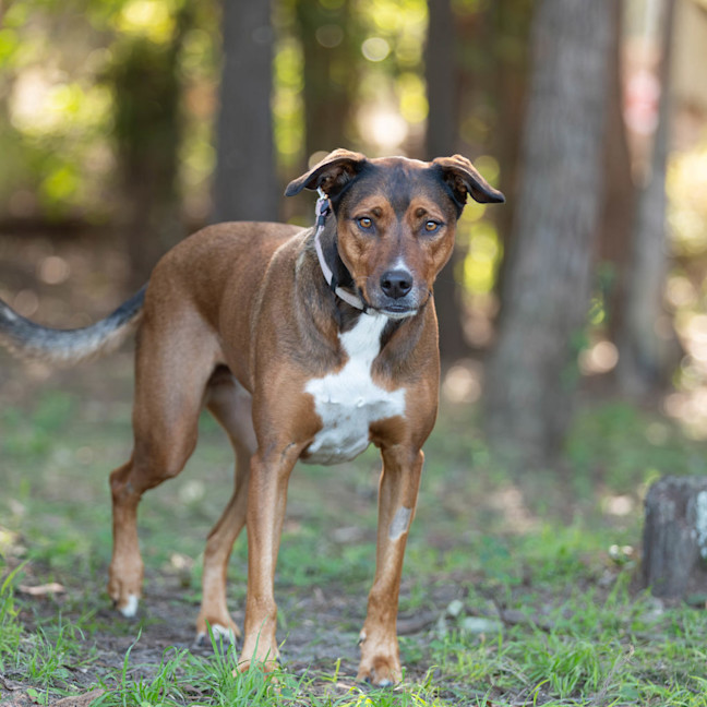Photo of Carley